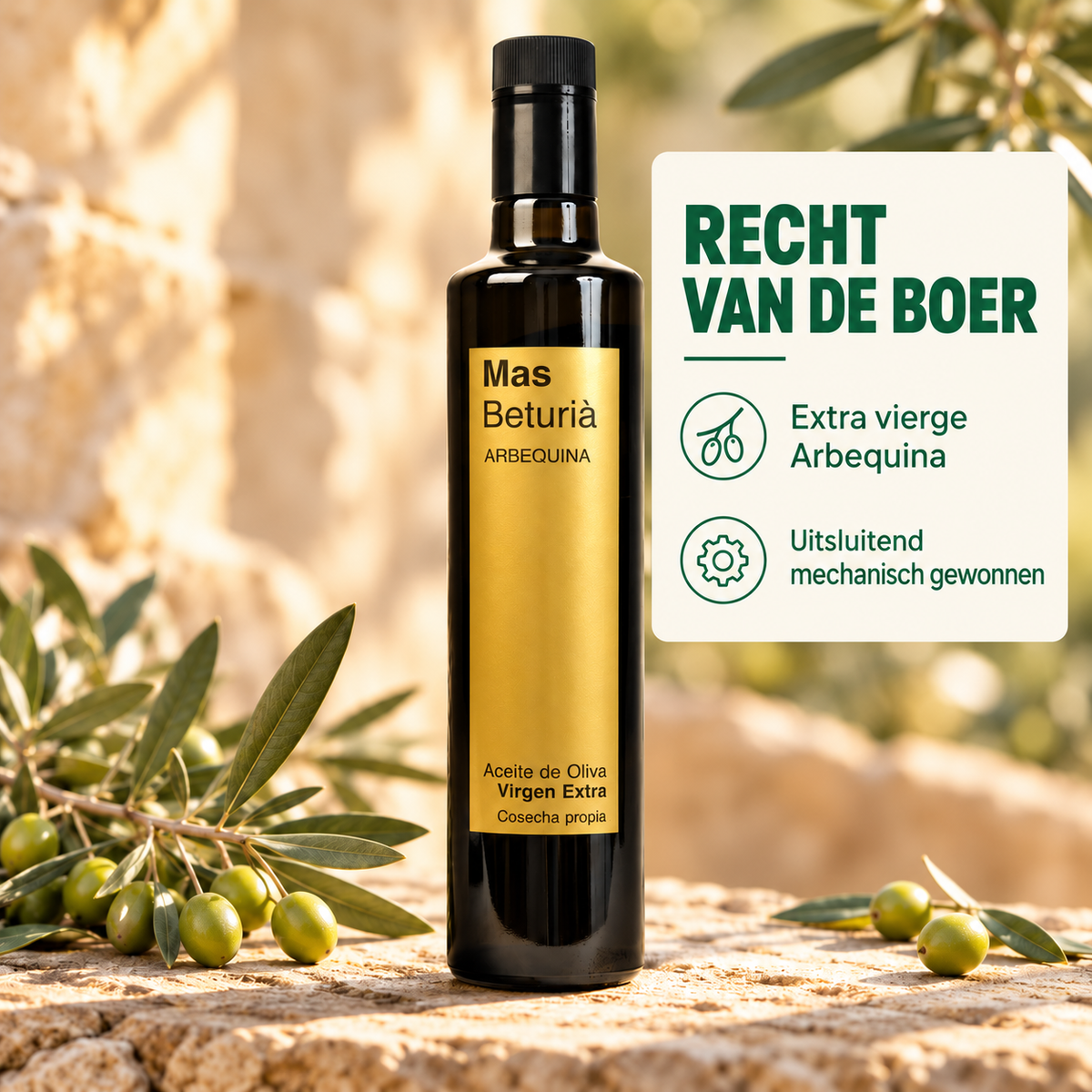 Nativ Bakpakket: 4 broodmixen + Arbequina olijfolie